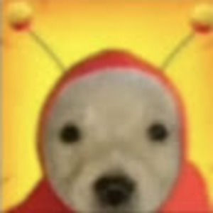 Meet your Posher, Maybell